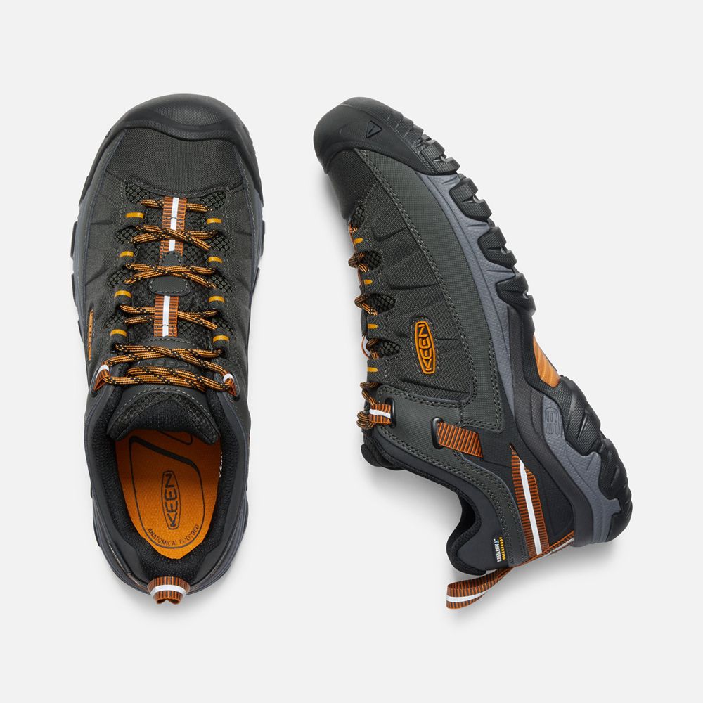 Keen Wandelschoenen Heren Zwart/Goud - Targhee Exp Waterproof - 32504-JNDO